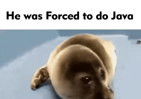 /java.gif